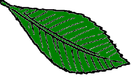 䂸t